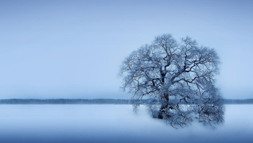 1634229 (a): :1920x1080
